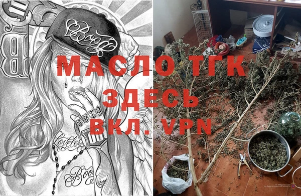 гашик Аркадак