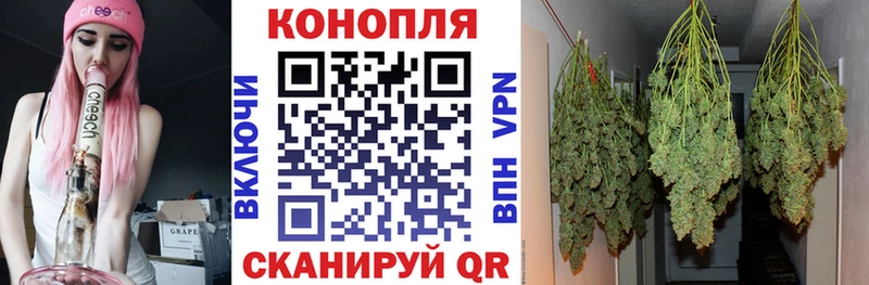 Бошки марихуана ГИДРОПОН Остров